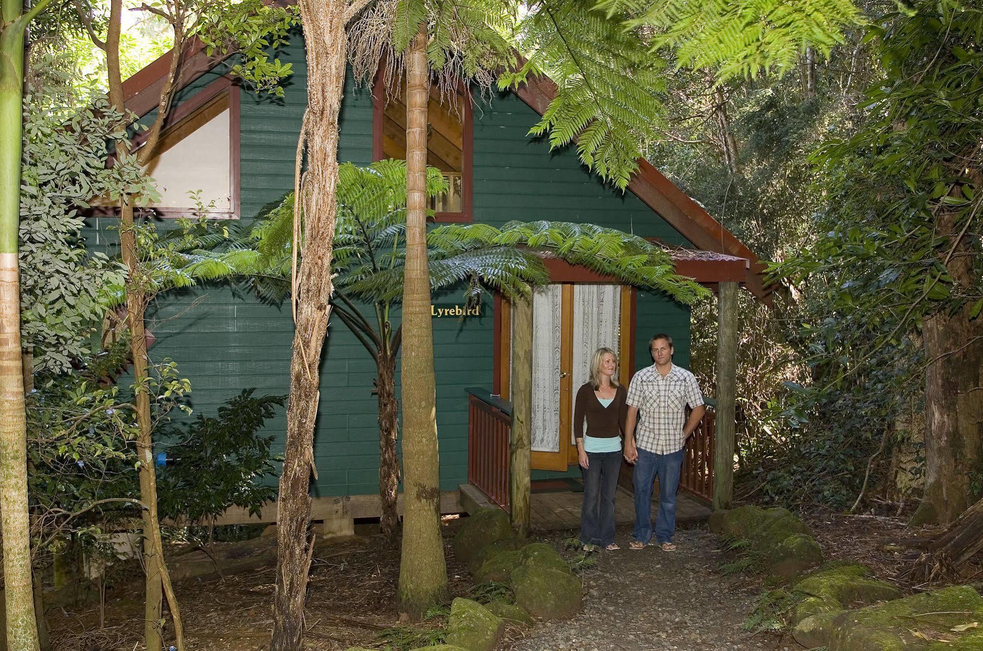 Springbrook Lyrebird Retreat Villa Exteriör bild