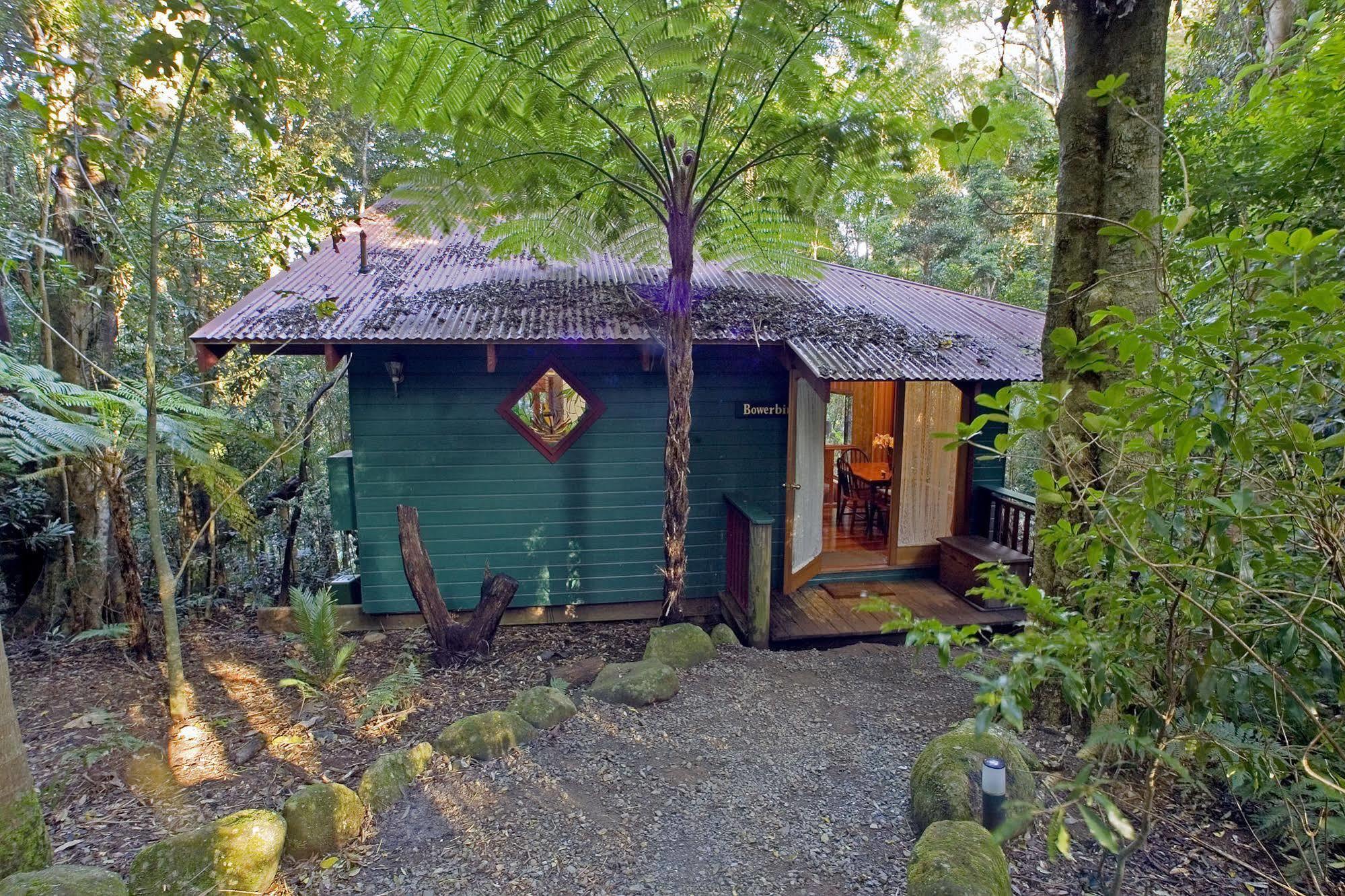 Springbrook Lyrebird Retreat Villa Exteriör bild