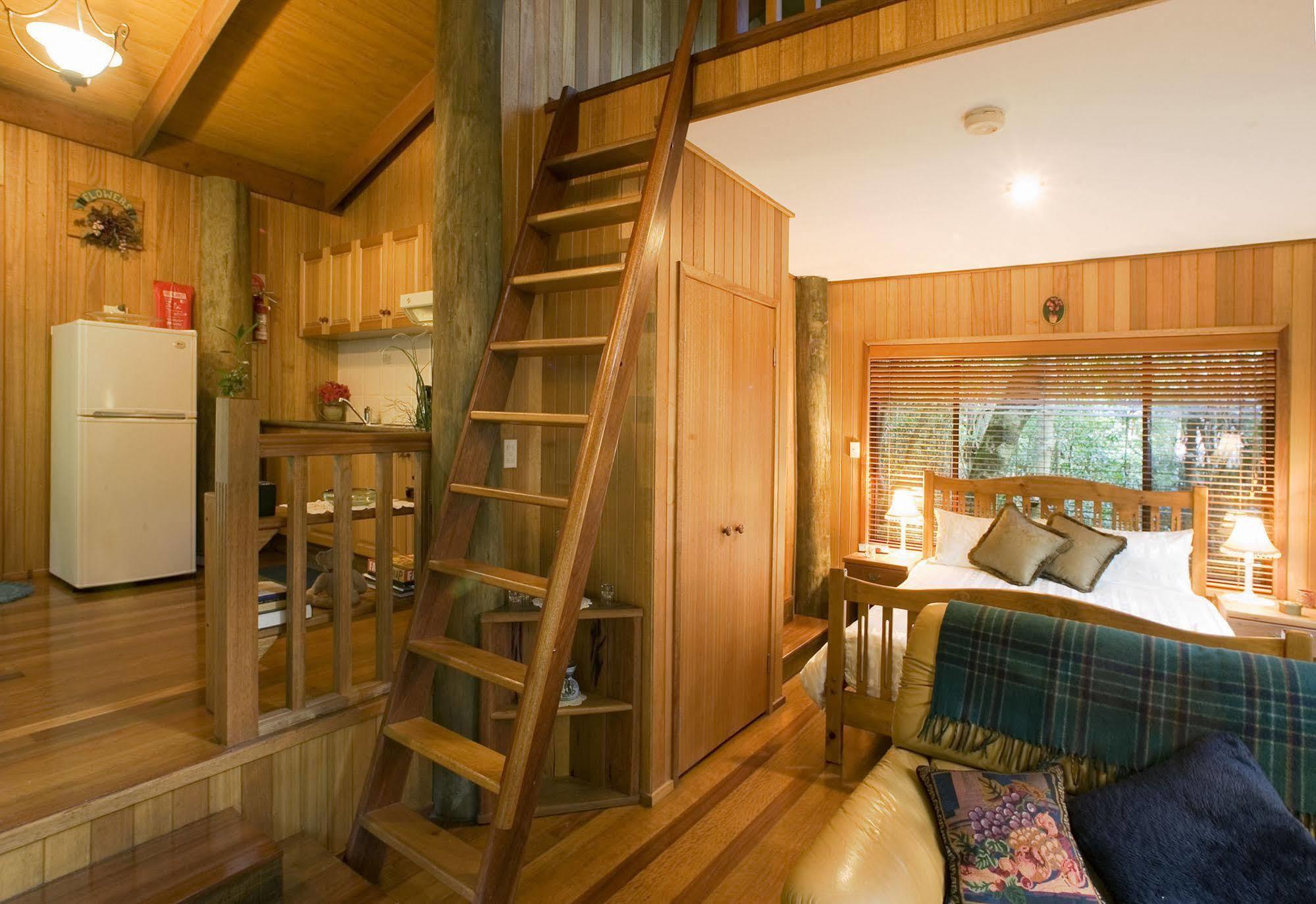 Springbrook Lyrebird Retreat Villa Exteriör bild