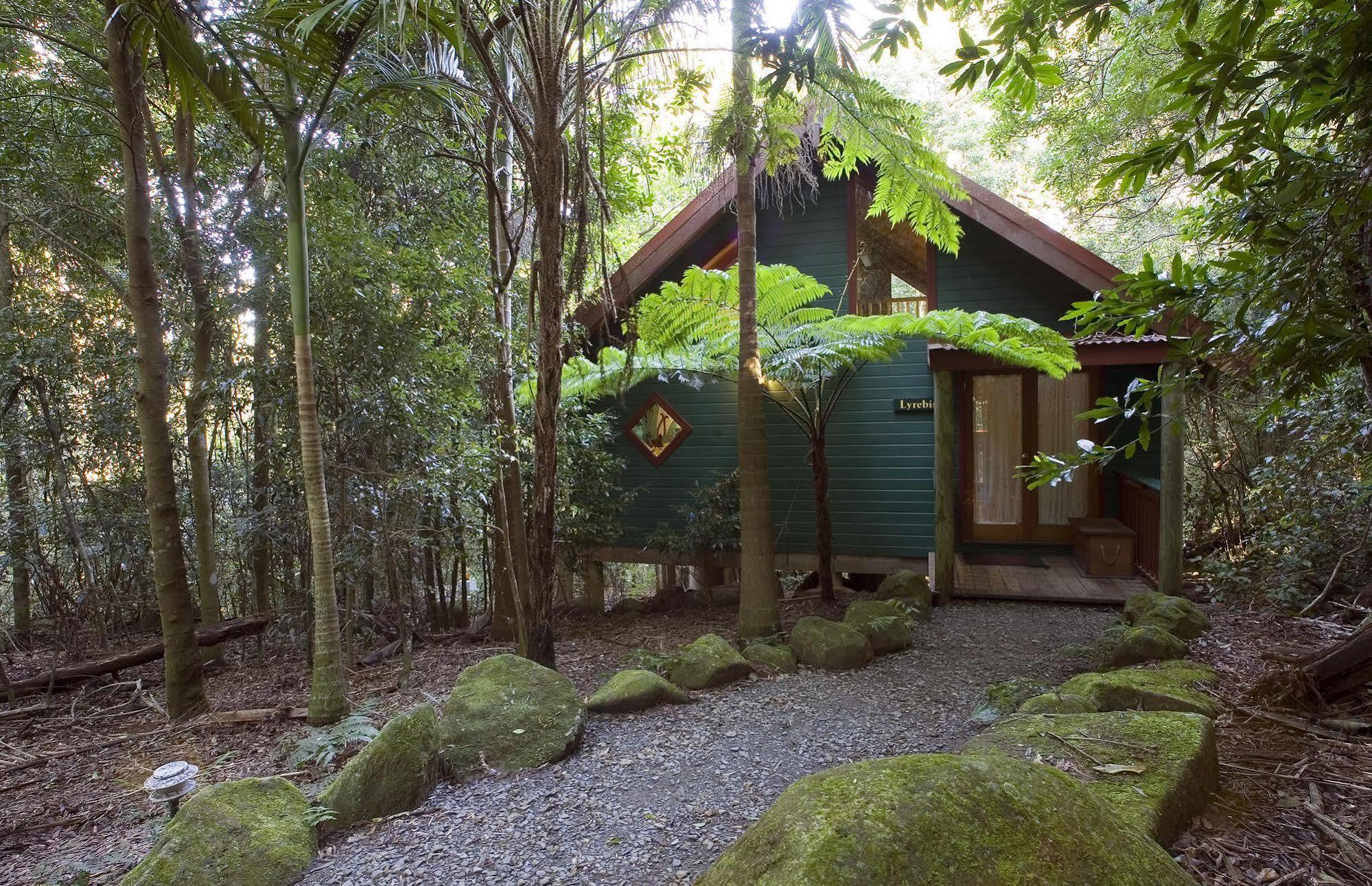 Springbrook Lyrebird Retreat Villa Exteriör bild