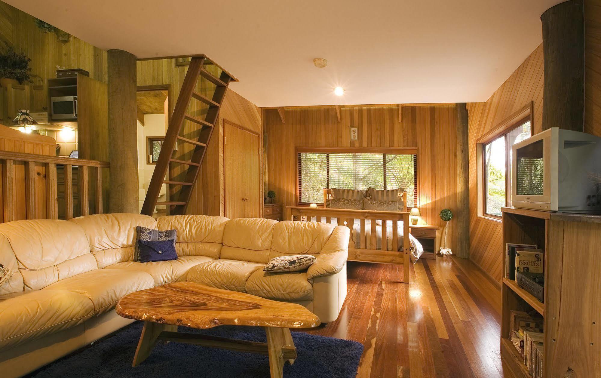 Springbrook Lyrebird Retreat Villa Exteriör bild