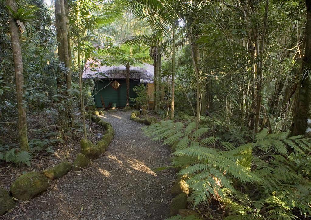 Springbrook Lyrebird Retreat Villa Exteriör bild